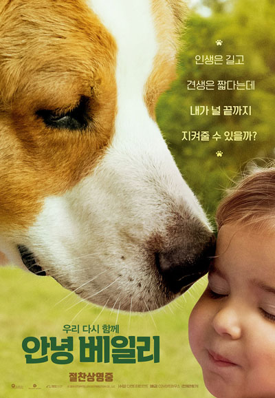 안녕 베일리 A Dog's Journey,2019