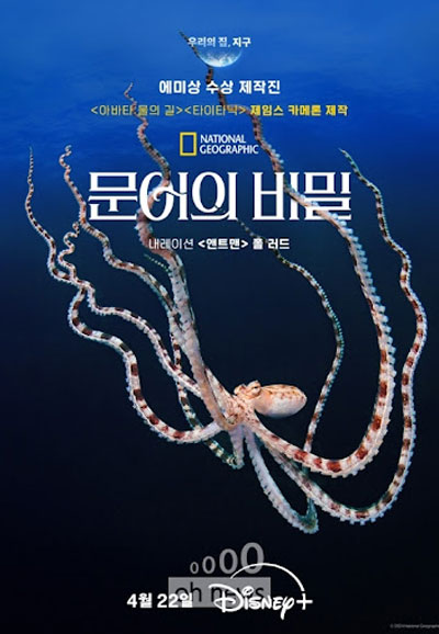 문어의 비밀 (2024)