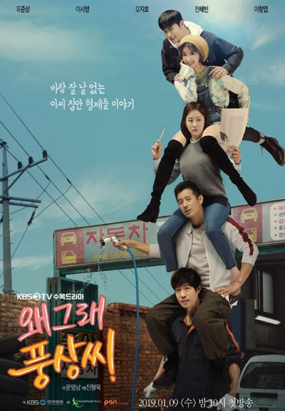 왜그래 풍상씨 (2019)